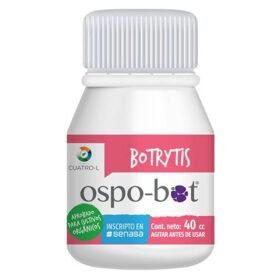 CUATRO L MYR BOT (40 CM3)