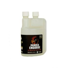 PANGEA ENGORDE PK BLACK ROOSTER (300 ML)