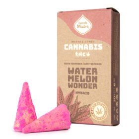 Cono Sahumerio Sagrada Madre Water Melon Wonder