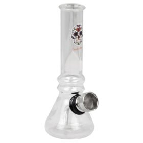 Bong Mini Clear BNV12-2 120mm