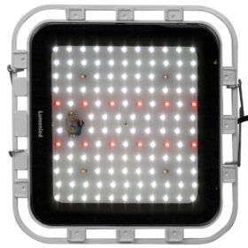 LED CULTIVO 100W INT DIMER LUMENS